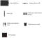 Миниатюра Huion NEW 1060 PLUS + перчатка 8192, фото 7