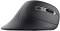 Миниатюра Trust Verro Ergonomic Wireless Mouse Black 23507, фото 3